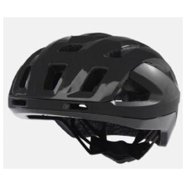 Oakley ARO3 Endurance EU (S) Polished Black