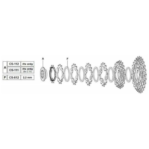 Campagnolo TANDWIEL 16A-17A-19B 11 SPEED