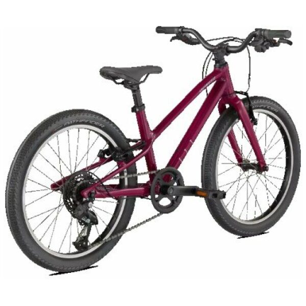 Specialized Jett Raspberry/uv Lilac 20 - Afbeelding 3